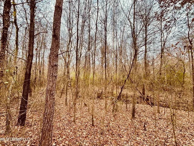 $318,500 | 50 Southeast Frontage Road, Winona, MS 38967