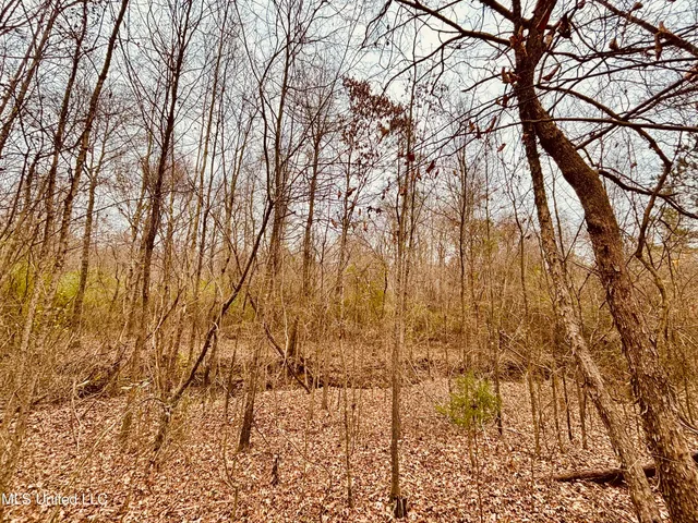 $318,500 | 50 Southeast Frontage Road, Winona, MS 38967