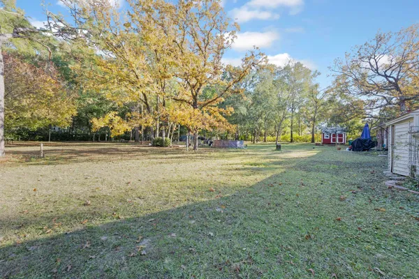 a view of a ground with large trees