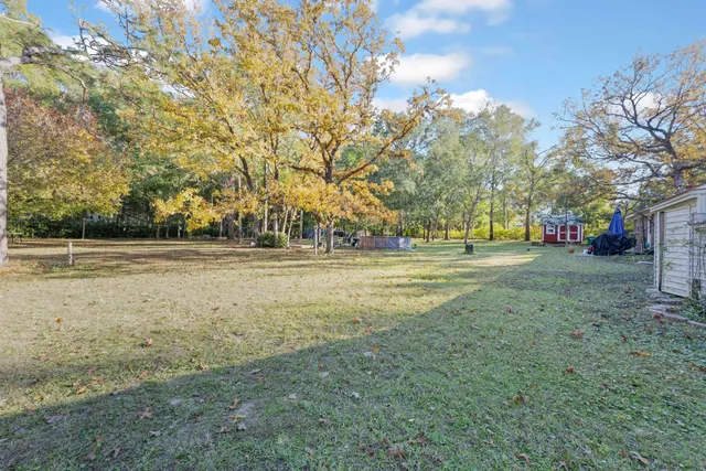a view of a ground with large trees