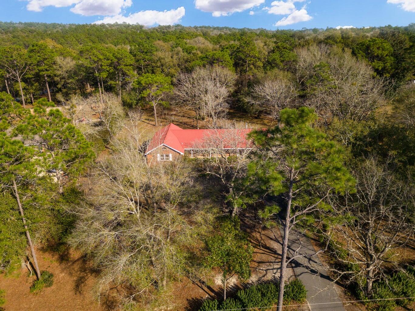 14 Pandora Drive Crestview, FL 32536 - Photo 4 of 40 a view of a forest with a lake