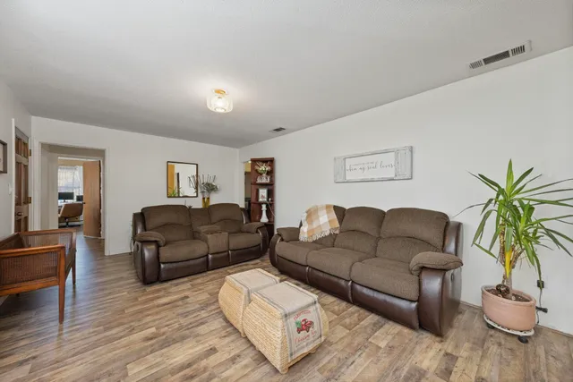 a living room with furniture and a potted plant
