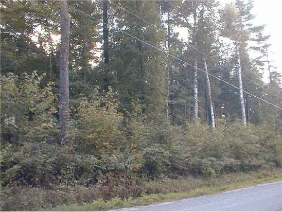 Lot5 Hogg Hill Road Springfield, NH 03284 - Photo 1 of 1