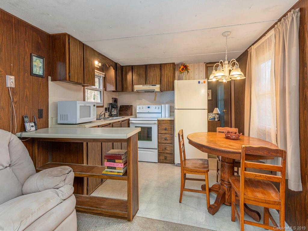 850 Henson Cove Road Canton, NC 28716 - Photo 3 of 17