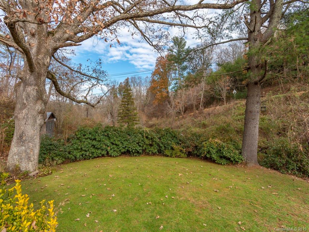 850 Henson Cove Road Canton, NC 28716 - Photo 10 of 17