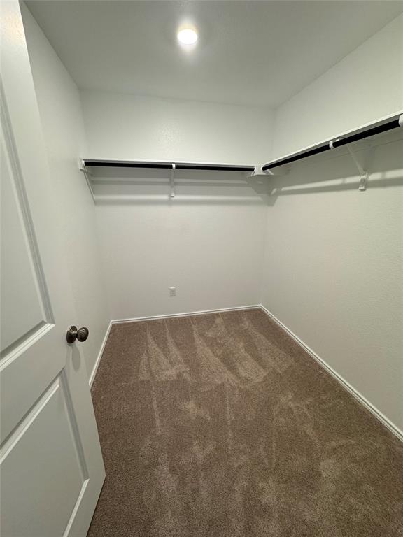 216 Jeffers Kyle, TX 78640 - Photo 17 of 19 Walk-in closet featuring built-in shelving and hanging rods, recessed ceiling light, neutral carpeting, and white baseboards