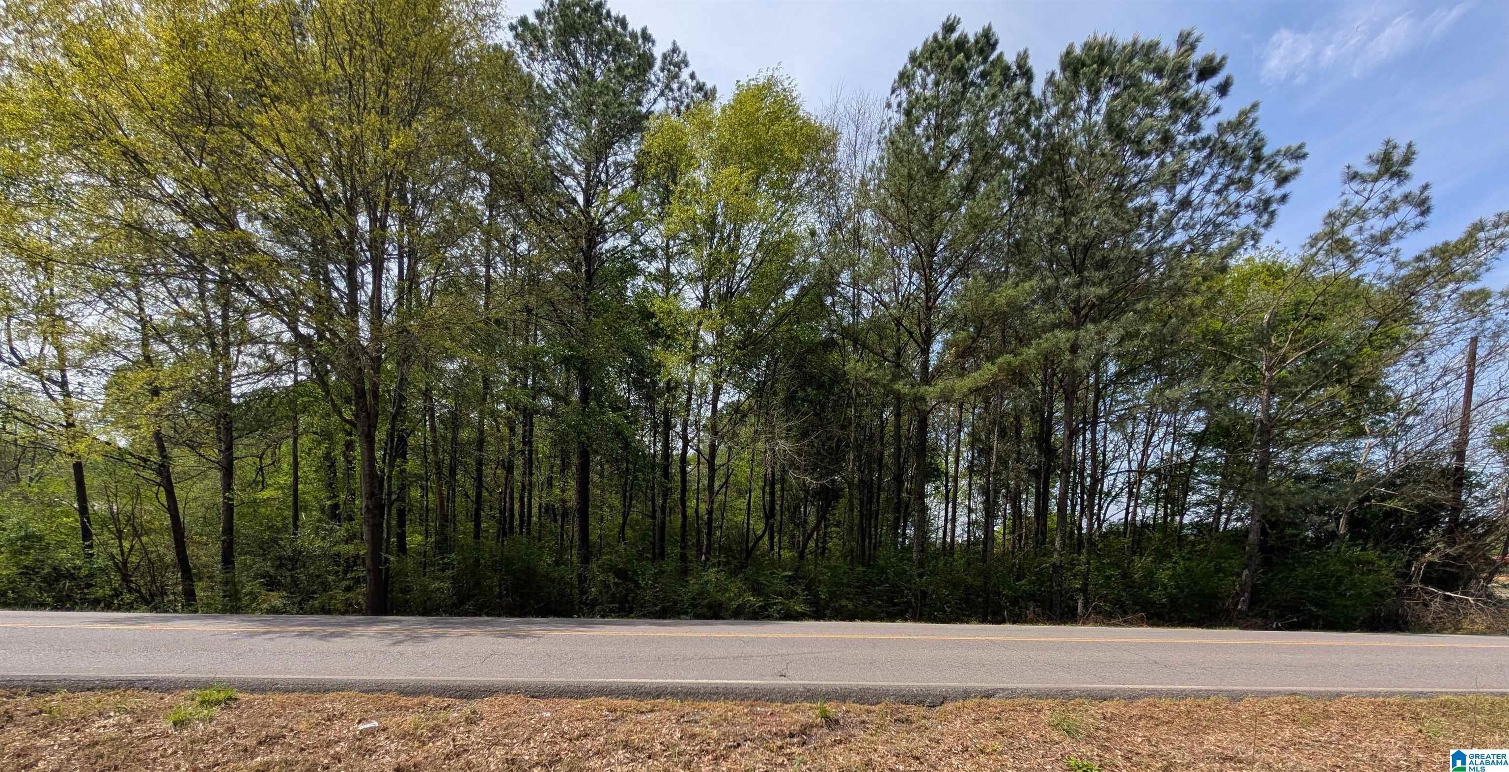 9146 Lock 17 Road Adger, AL 35006 - Photo 1 of 1 Gallery Image 1