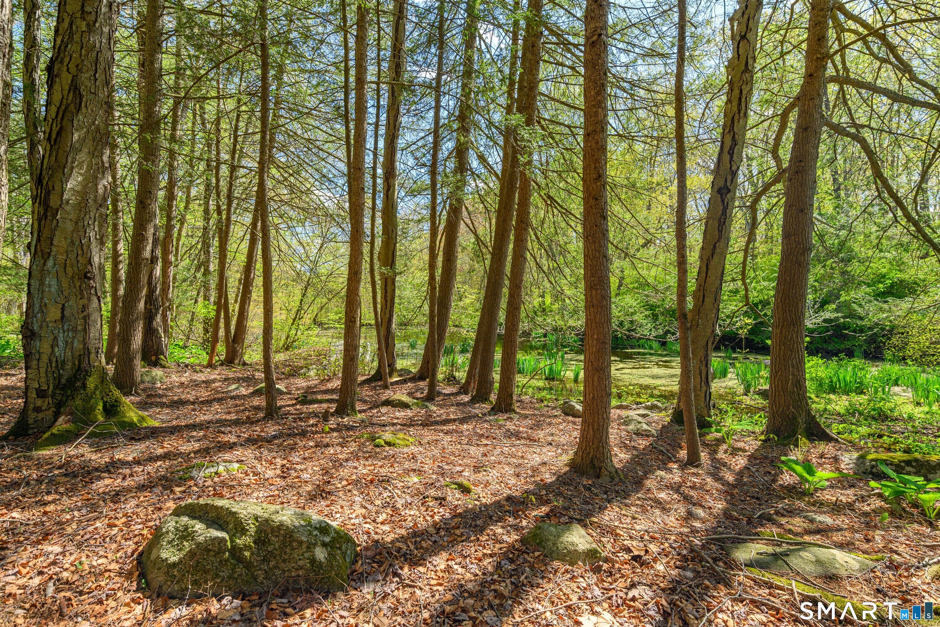 6 High Rock Road Newtown, CT 06482 - Photo 33 of 40 a backyard of a house with lots of green space