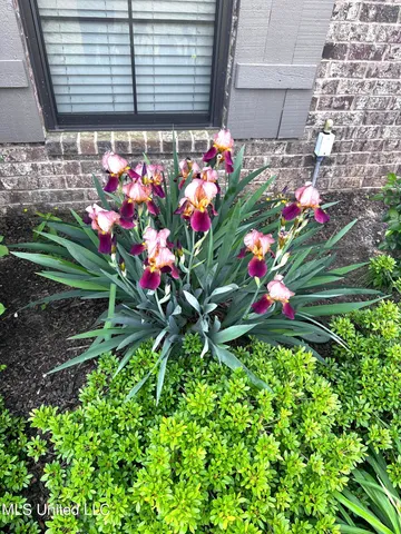 $500,000 | 14437 Choctaw Ridge Drive, Olive Branch, MS 38654