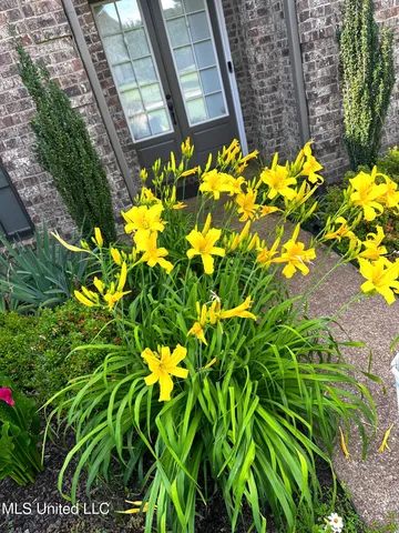 $500,000 | 14437 Choctaw Ridge Drive, Olive Branch, MS 38654