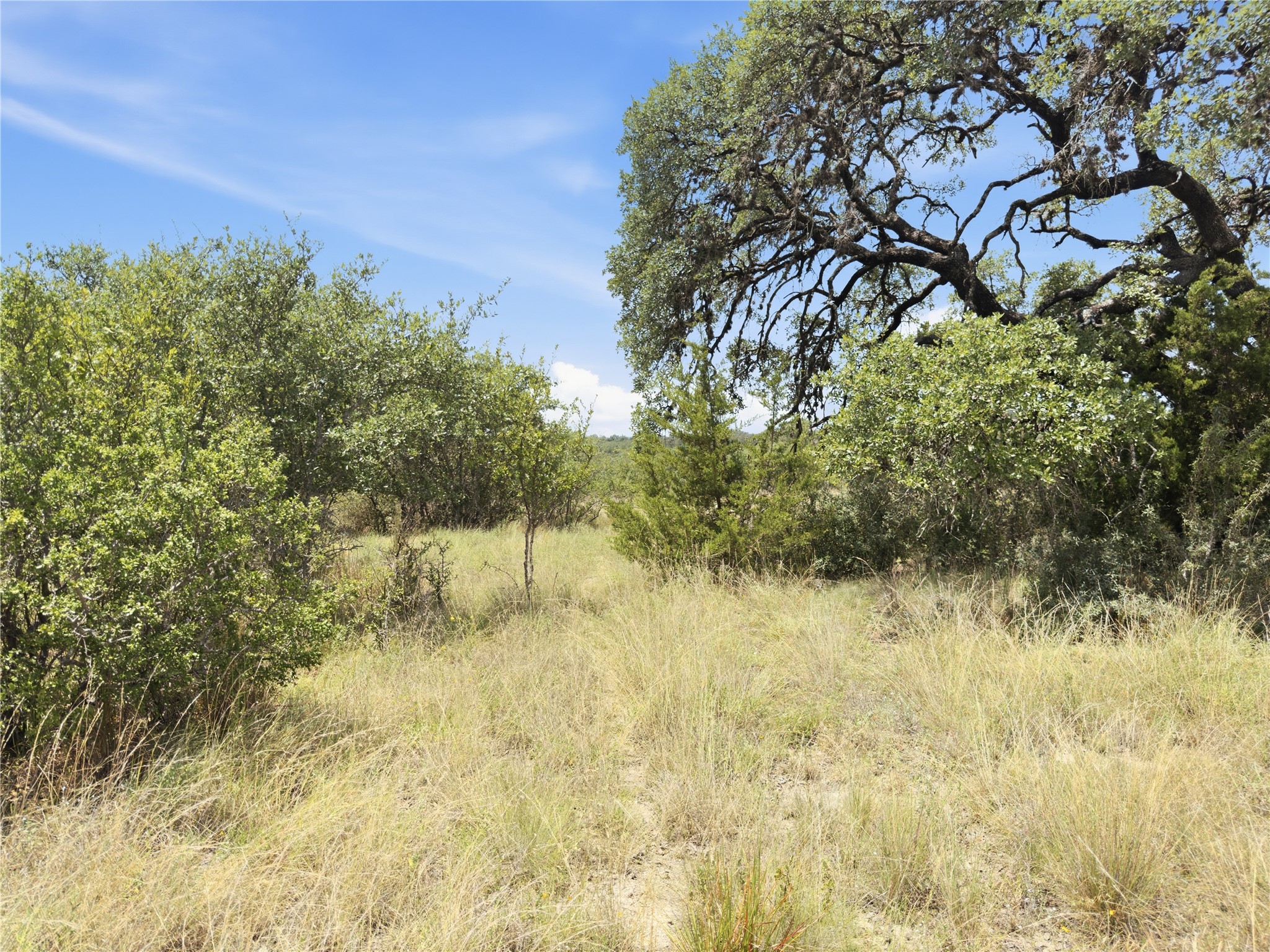 963 Summit Ridge Trail Johnson City, TX 78636 - Photo 3 of 30 A tranquil, undeveloped lot offers mature trees and native grasses, ideal for a private retreat.