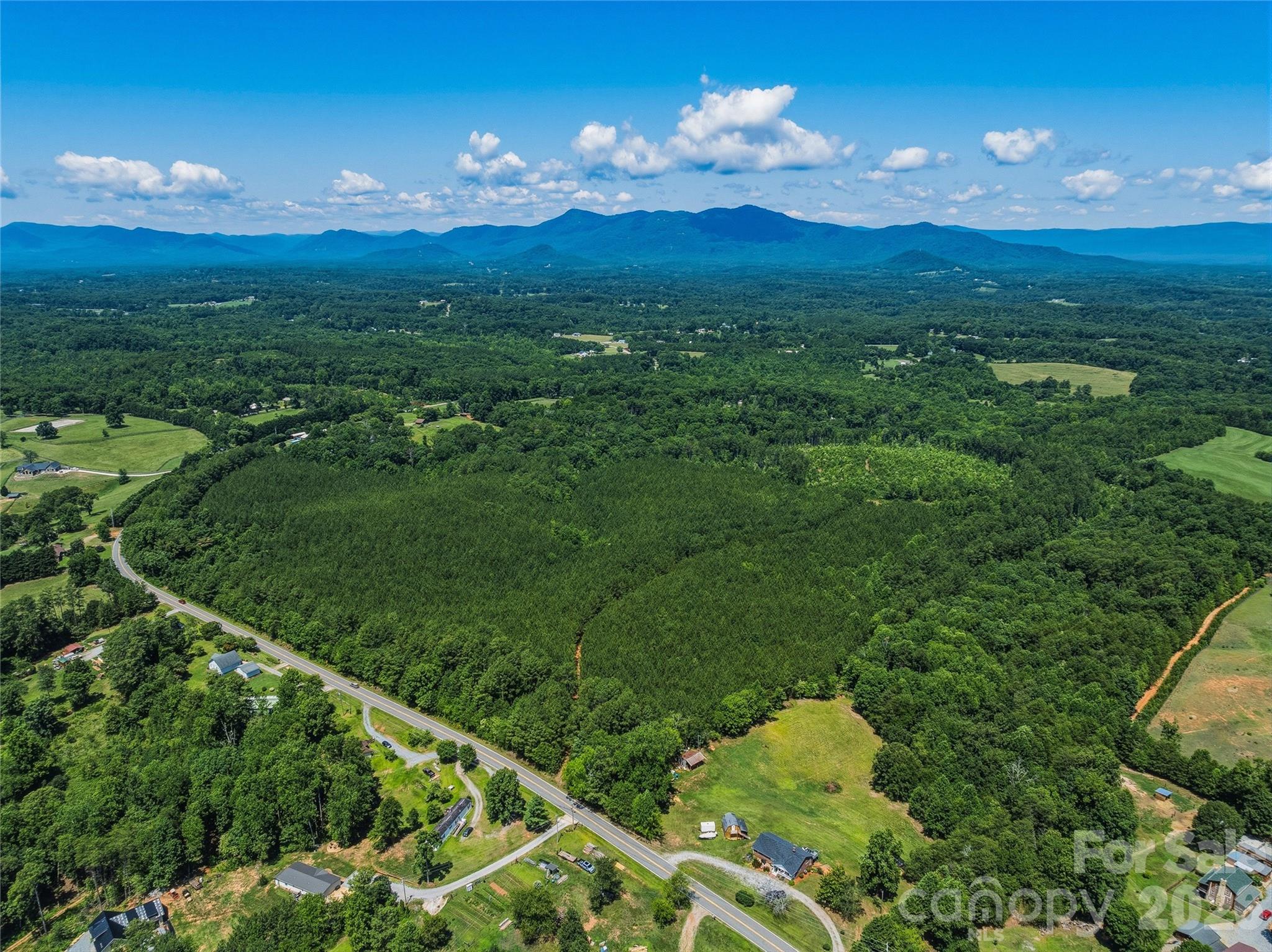 6783 Peniel Road Tryon, NC 28782 - Photo 4 of 36