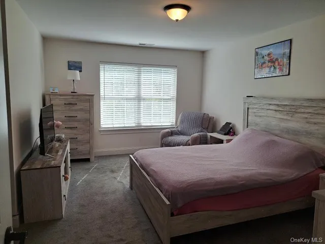 a bedroom with a bed and a television