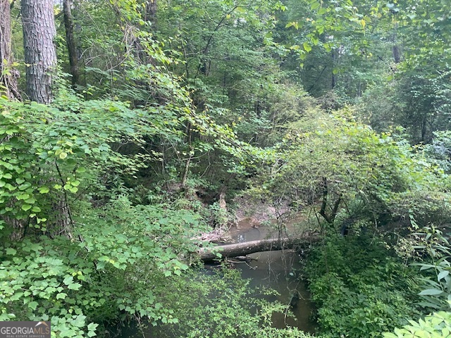 0 Standing Rock Road Senoia, GA 30276 - Photo 7 of 17