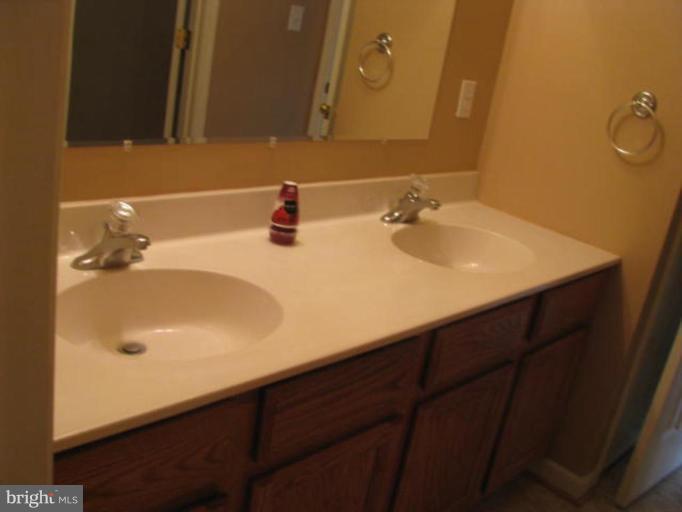 54 Cliffside Road Linden, VA 22642 - Photo 13 of 20 Master Bath