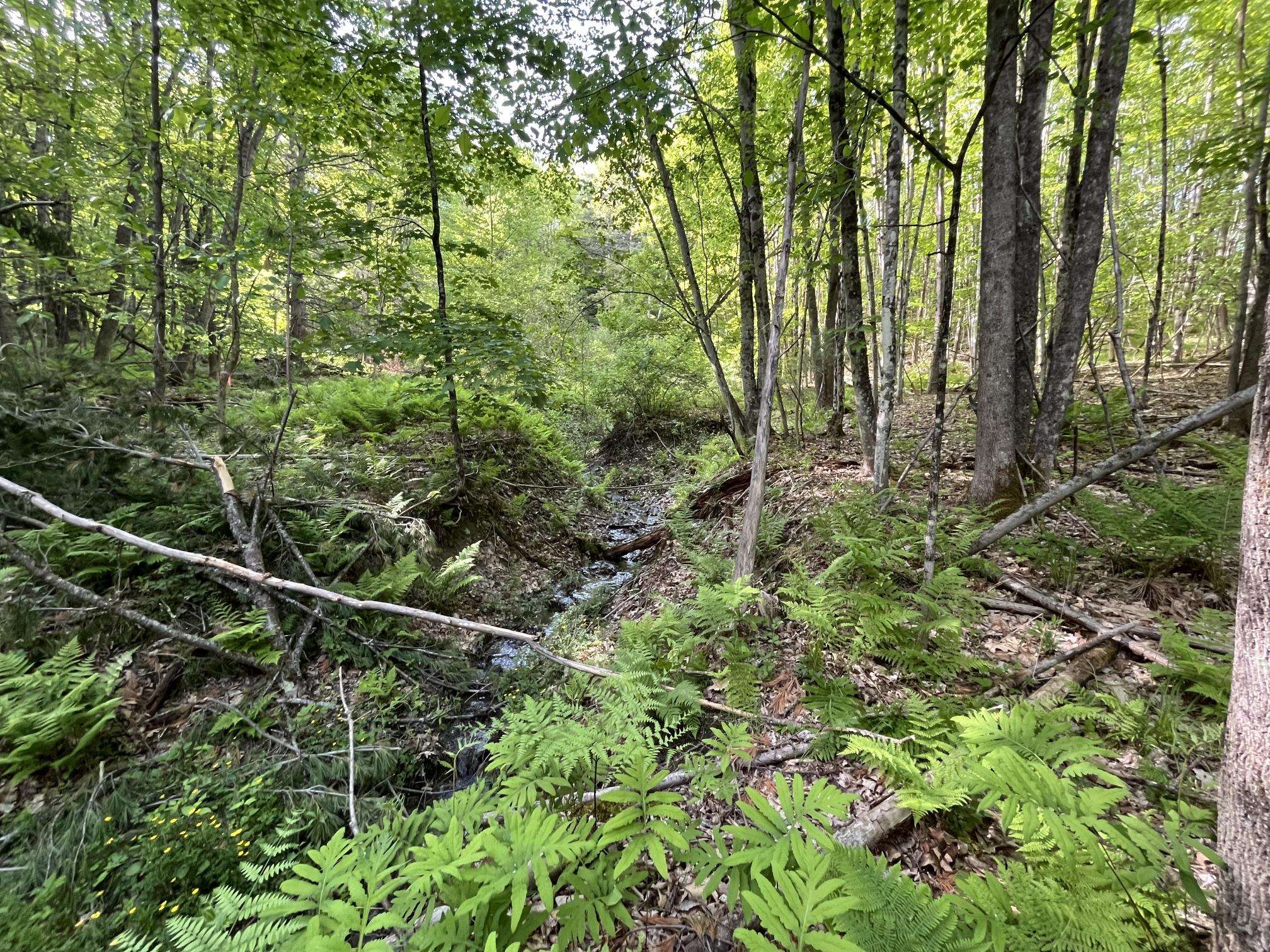 31 River Road Bath, NH 03740 - Photo 15 of 26