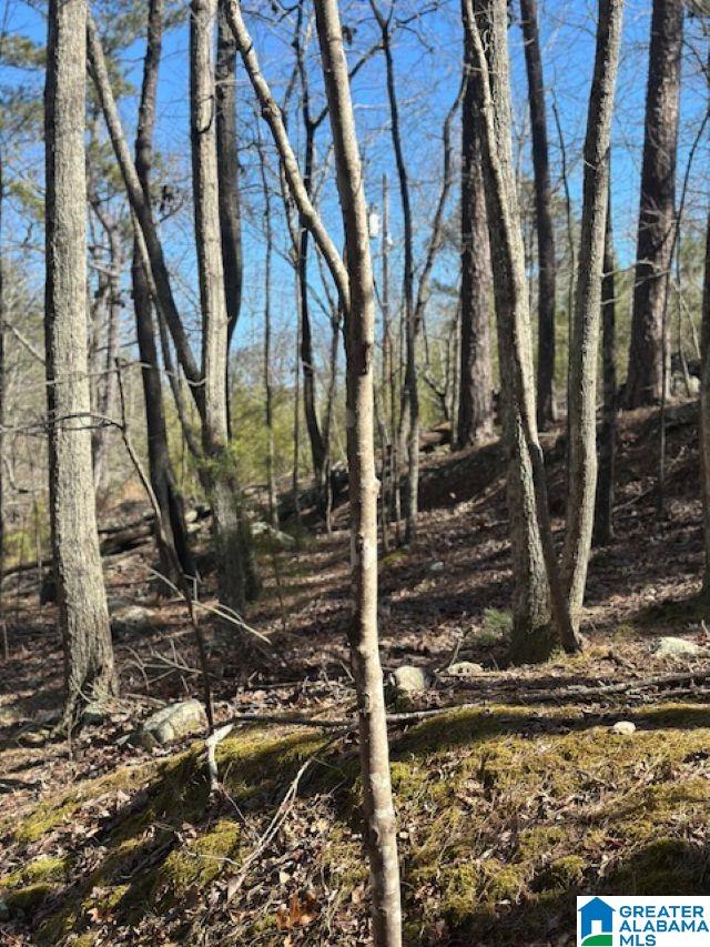 1 Mountain Top Road, Unit 1 Trussville, AL 35173 - Photo 8 of 17