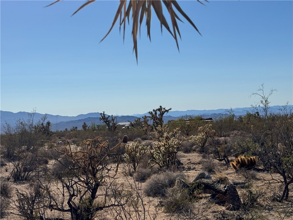 242-12-013 South Sundance Kid Road Yucca, AZ 86438 - Photo 2 of 17