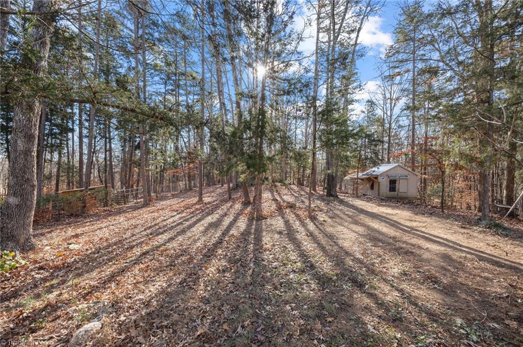 2102 Pleasant Union Road Denton, NC 27239 - Photo 31 of 43