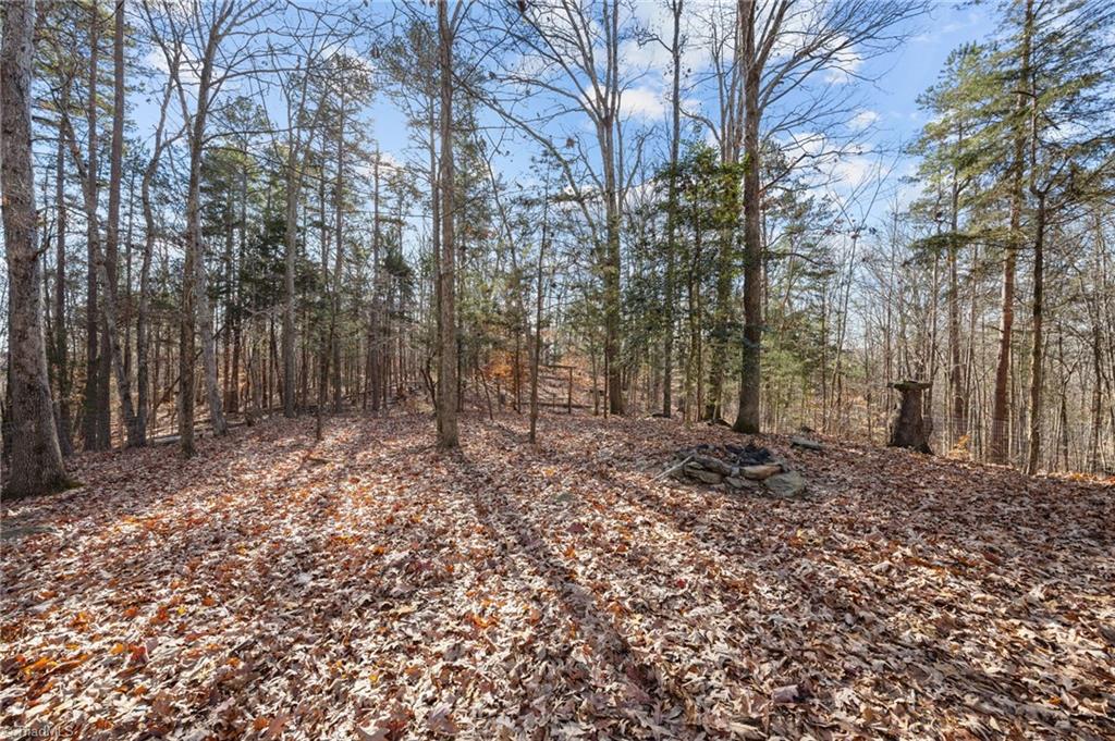 2102 Pleasant Union Road Denton, NC 27239 - Photo 33 of 43