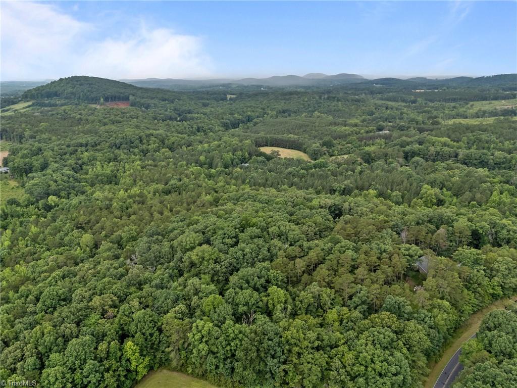 2102 Pleasant Union Road Denton, NC 27239 - Photo 40 of 43