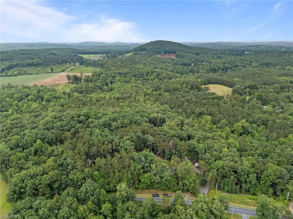 2102 Pleasant Union Road Denton, NC 27239 - Photo 41 of 43