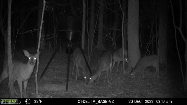 2102 Pleasant Union Road Denton, NC 27239 - Photo 43 of 43