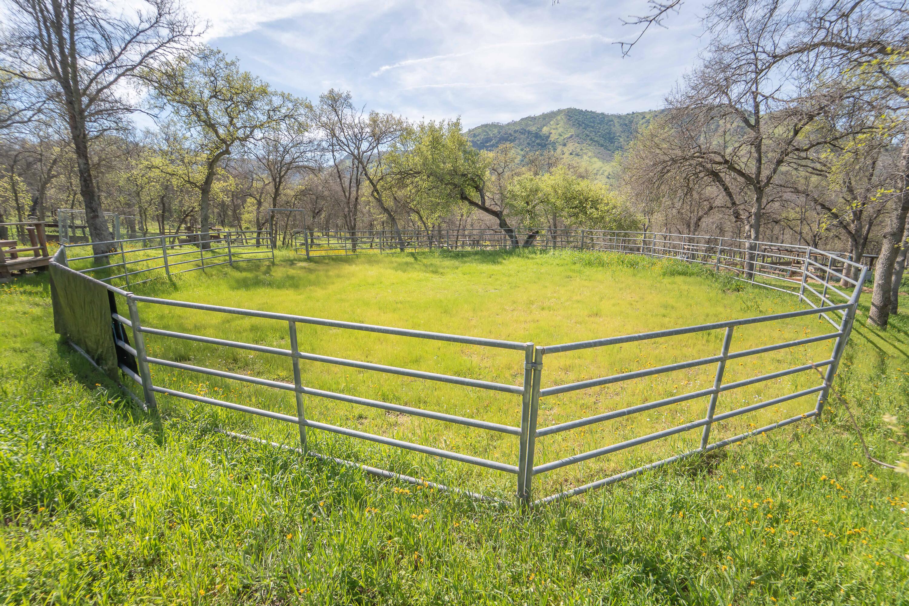44294 Sequoia Oaks Drive Three Rivers, CA 93271 - Photo 96 of 118 -