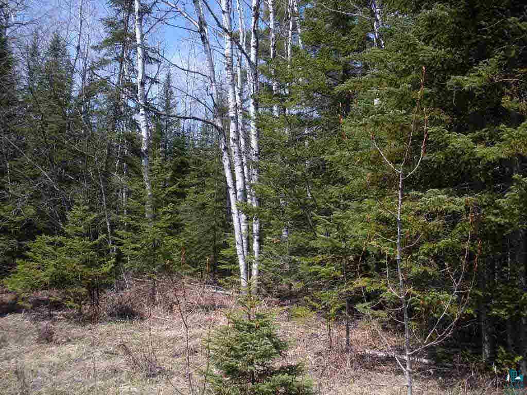 East Orienta Falls Road Port Wing, WI 54865 - Photo 1 of 3
