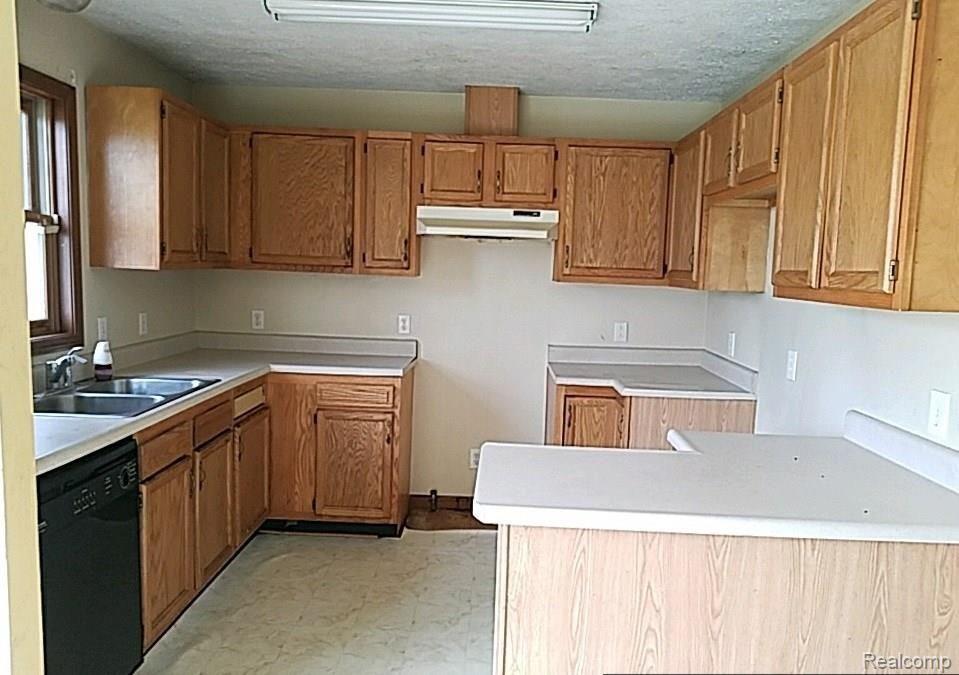 4171 Spring Hill Avenue Inkster, MI 48141 - Photo 10 of 13