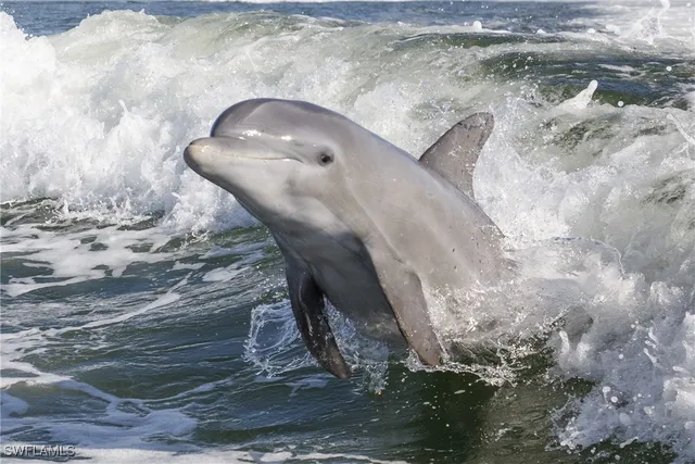 $270,000 | 3126 Tennis Villas, Captiva, FL 33924