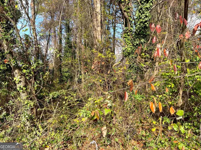 $130,000 | 0 Jonesboro Road, Morrow, GA 30260