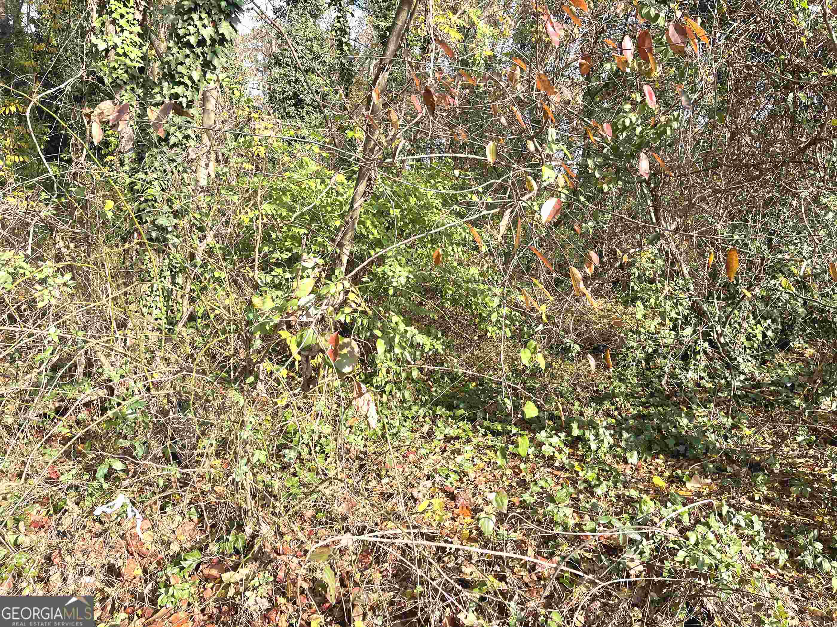 0 Jonesboro Road Morrow, GA 30260 - Photo 3 of 3