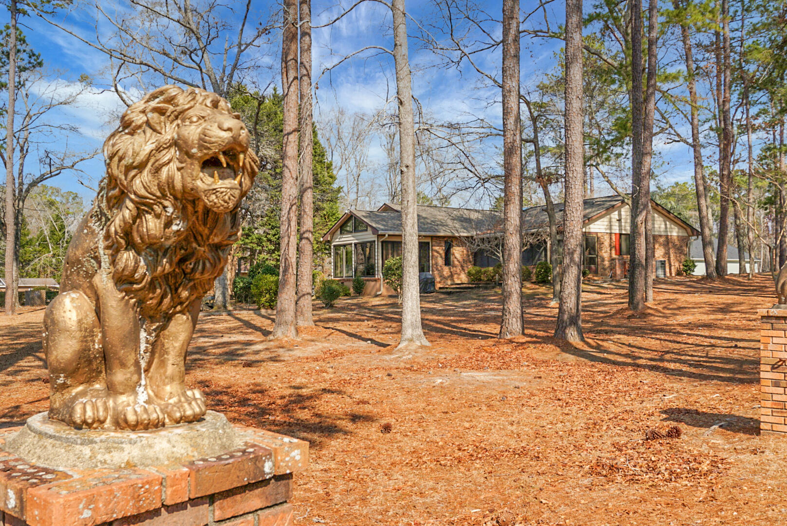 1 Santee Lakes Court Elloree, SC 29047 - Photo 72 of 79