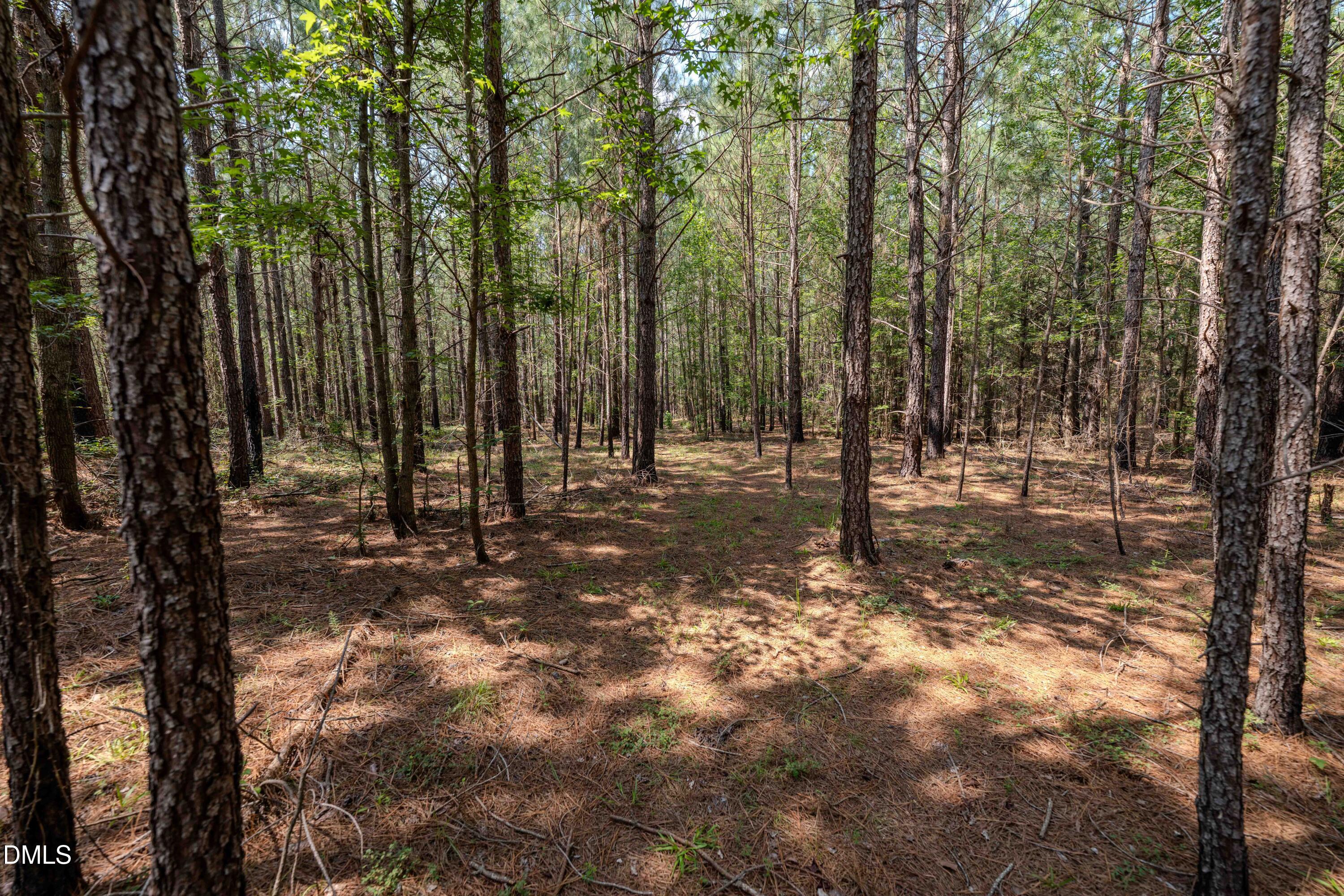 0 Haw Branch Road Sanford, NC 27330 - Photo 23 of 41 Chatham Lumber 77.2 Ground-16