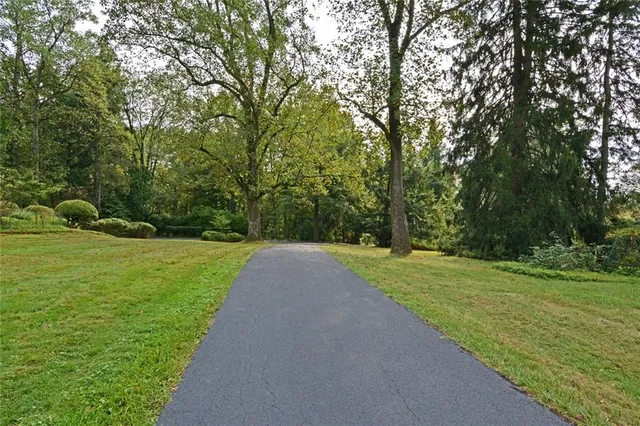 a view of a field with trees in the background
