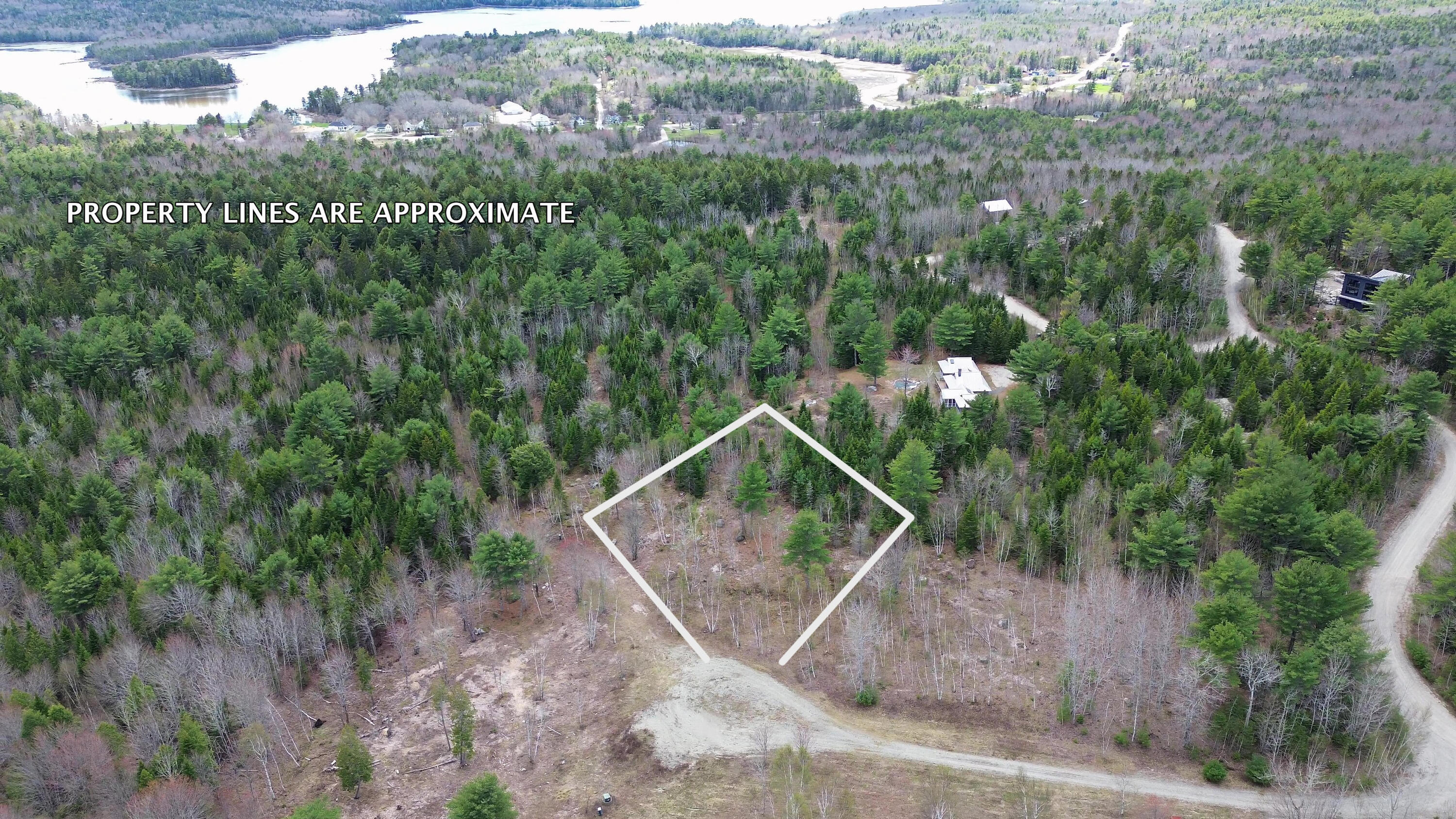 Lot 16 Bailey Mountain Road Franklin, ME 04634 - Photo 3 of 9