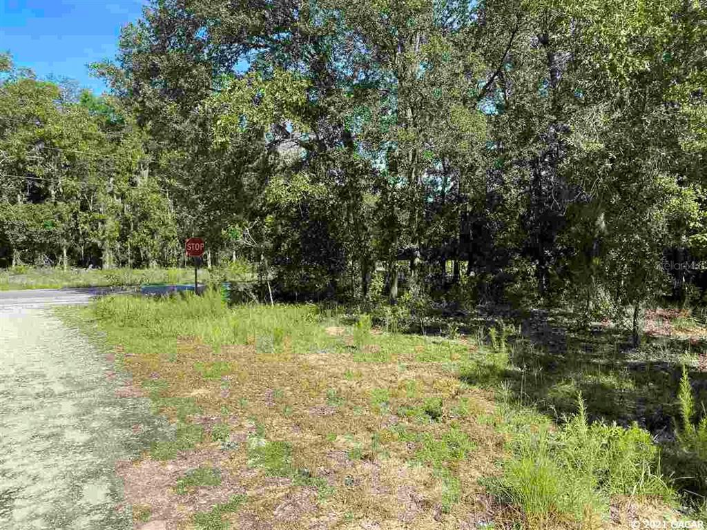 0 Azealea Avenue, Unit 5 Interlachen, FL 32148 - Photo 1 of 1