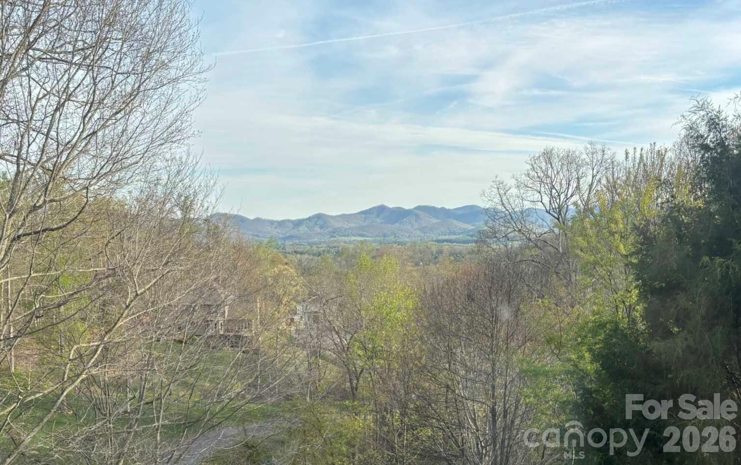 24 Sunnie Rae Lane Candler, NC 28715 - Photo 2 of 42