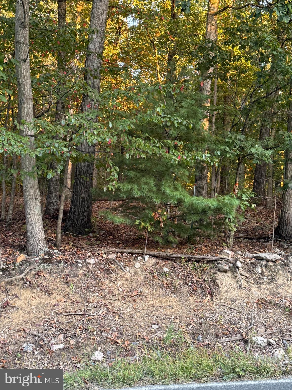 0 Furnace Road Slatington, PA 18080 - Photo 1 of 1 Gallery Image 1