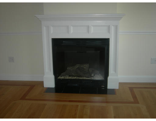 38 Standish Road Arlington, MA 02478 - Photo 8 of 24 a living room with a fireplace