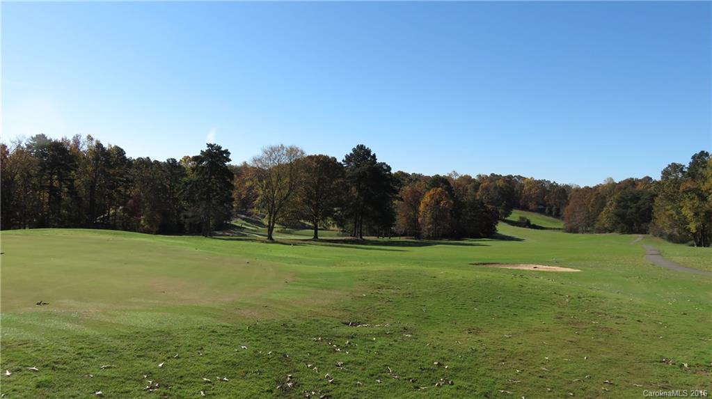 3059 Lake Shore Road South Denver, NC 28037 - Photo 2 of 12 a view of field with trees in the background
