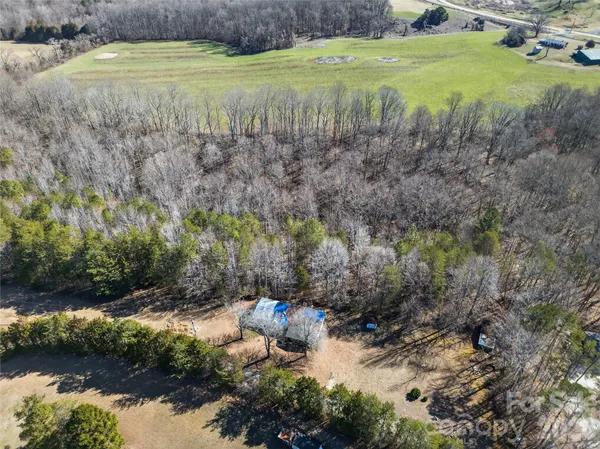 a view of a yard with a tree