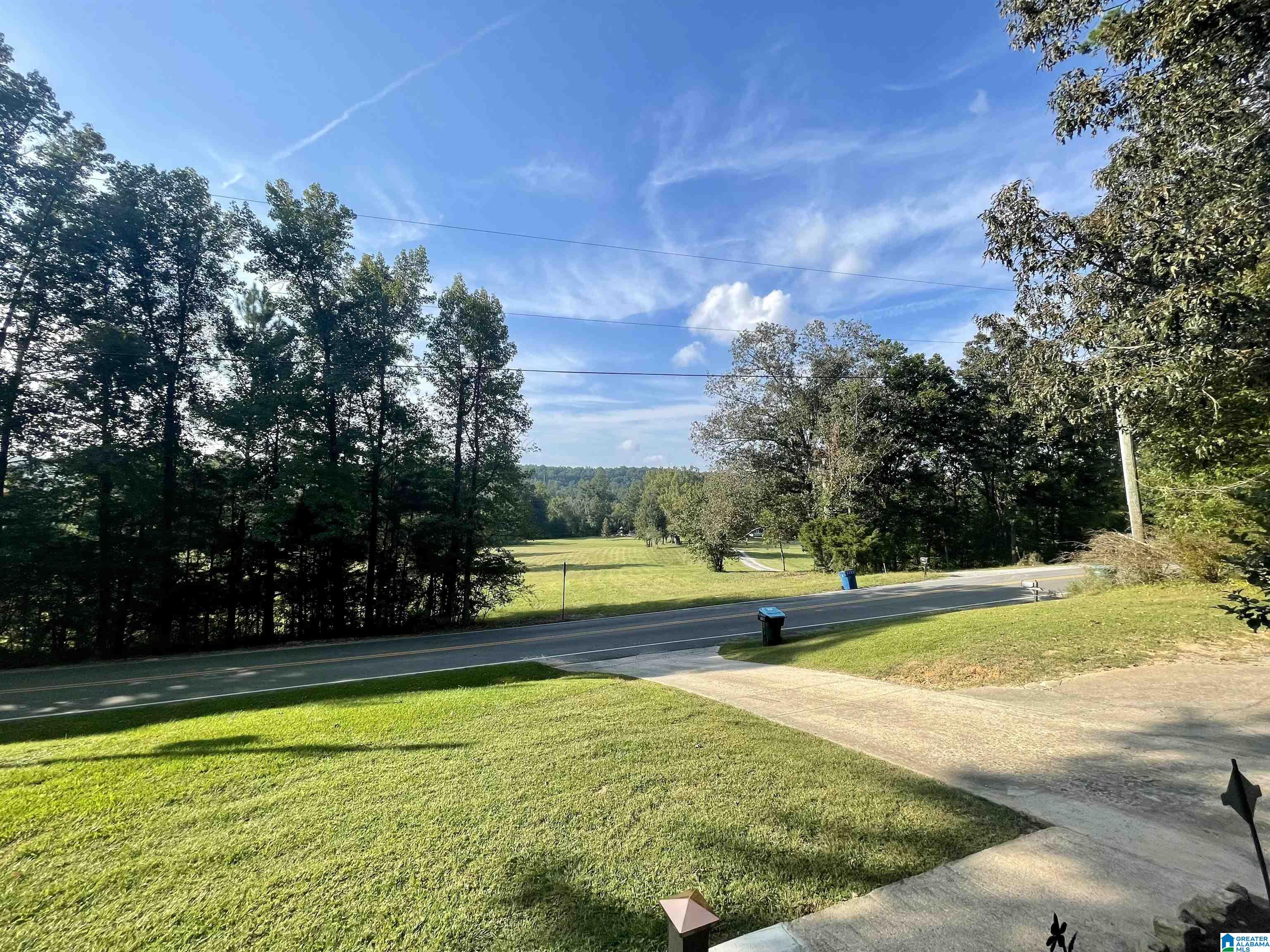 2893 Springville Boulevard Oneonta, AL 35121 - Photo 3 of 24
