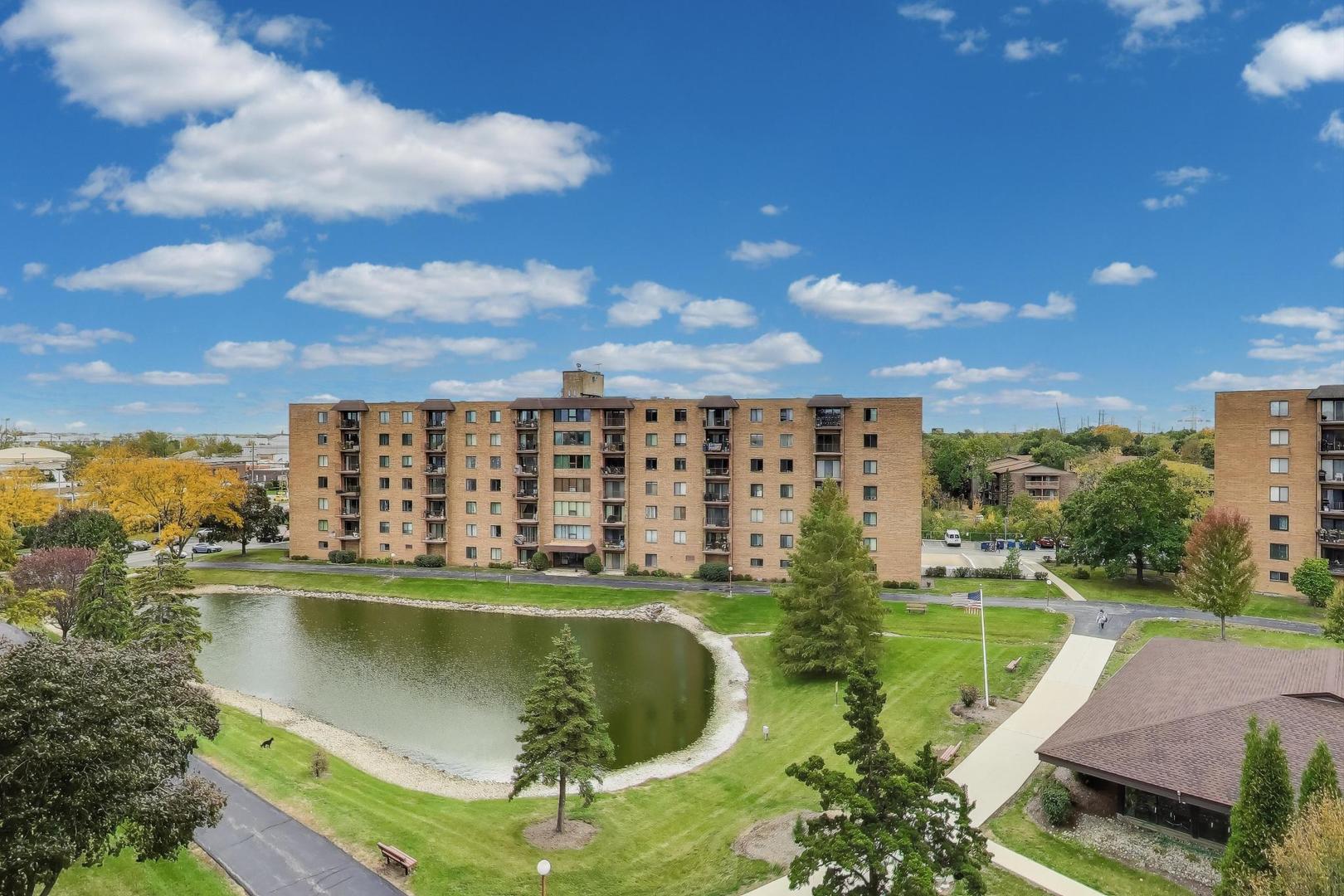1717 West Crystal Lane, Unit 610 Mount Prospect, IL 60056 - Photo 19 of 23 a view of a swimming pool with a lake view
