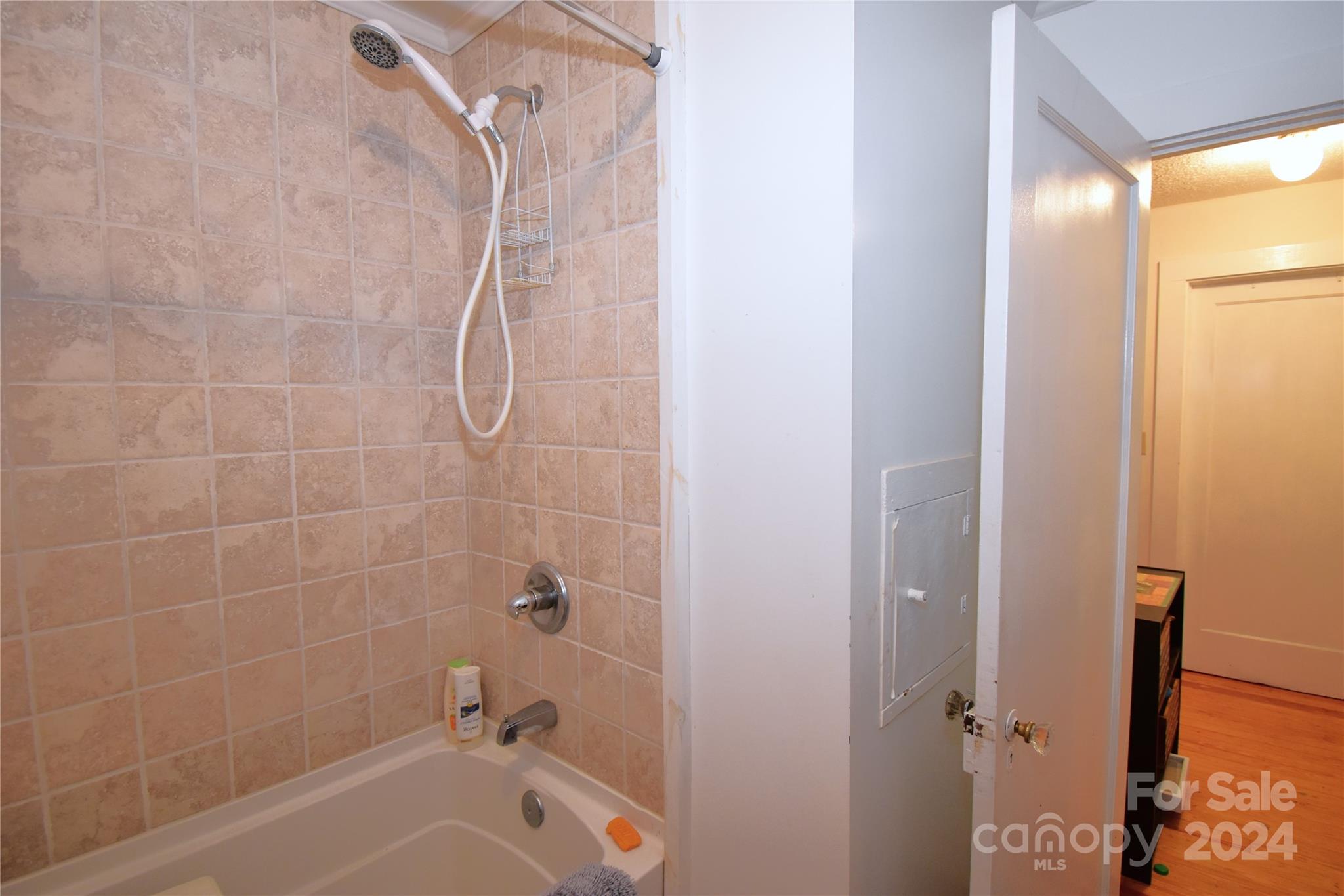 116 Warner Road Canton, NC 28716 - Photo 11 of 22 a bathroom with a shower and a bath tub
