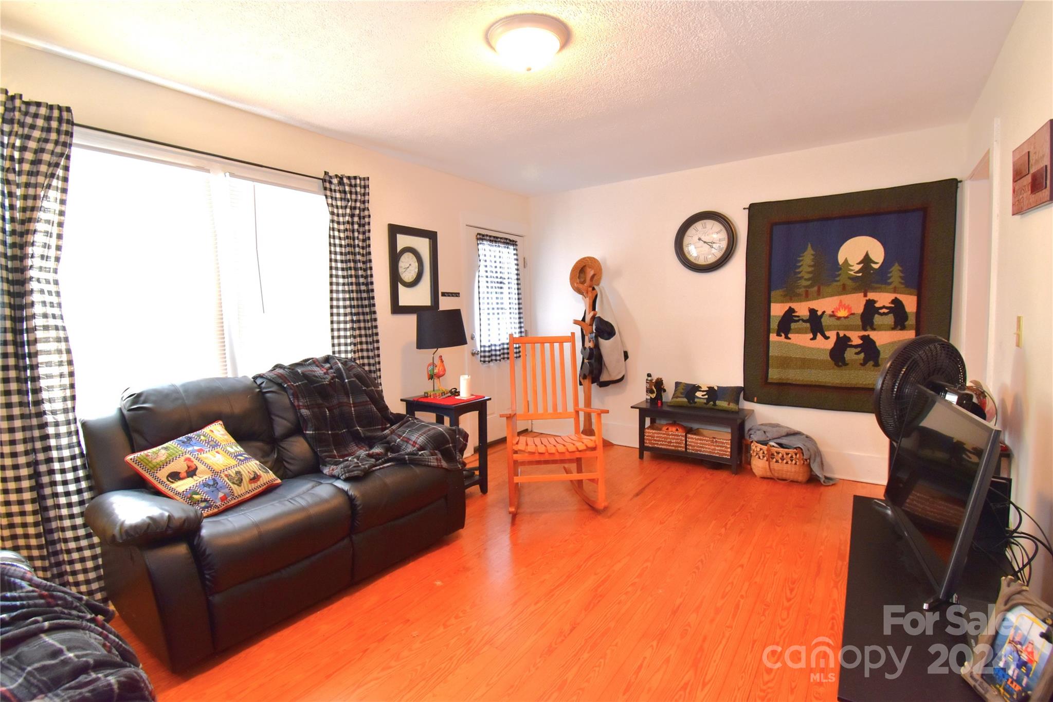 116 Warner Road Canton, NC 28716 - Photo 3 of 22 a living room with furniture and a flat screen tv