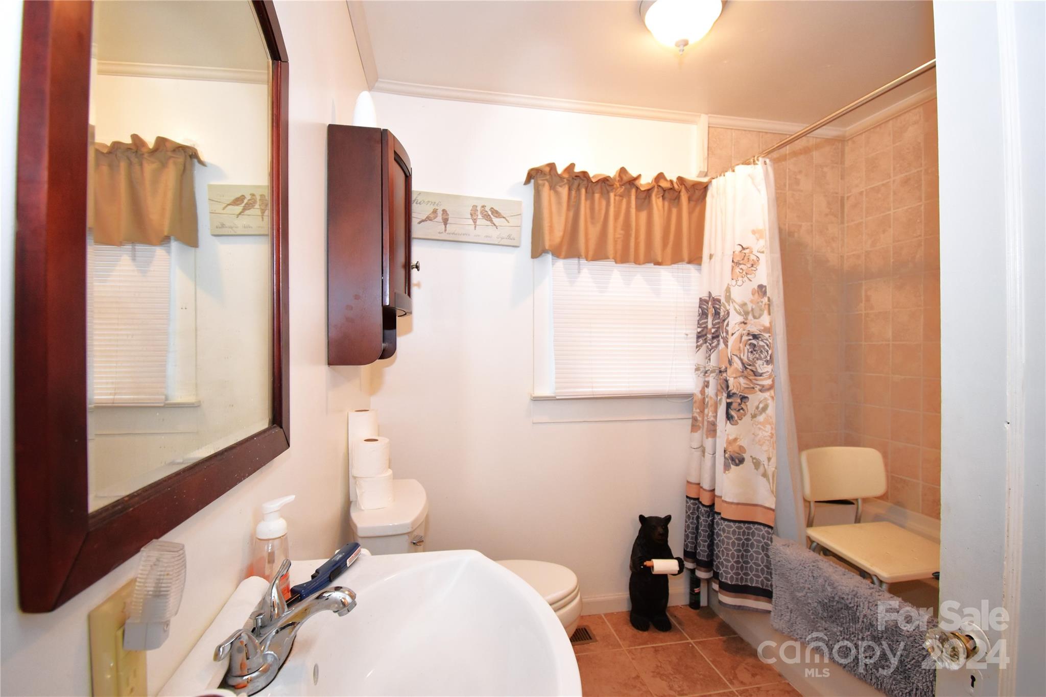 116 Warner Road Canton, NC 28716 - Photo 10 of 22 a bathroom with a sink toilet and shower