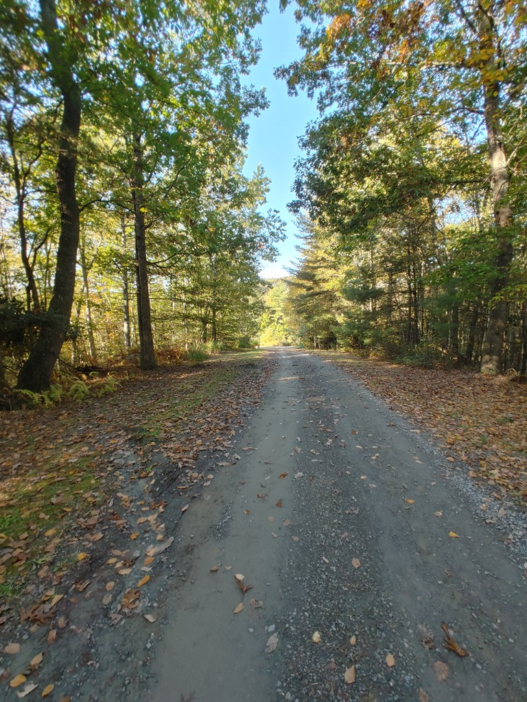 10 Upper Ridge Road, Unit 10 Meadows Of Dan, VA 24120 - Photo 15 of 30 Gallery Image 15