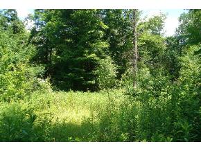 380 Eggleston Road Triangle, NY 13862 - Photo 3 of 6